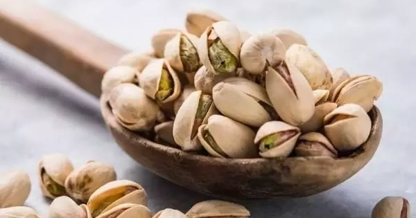 Bất ngờ loại hạt giúp Việt Nam thu gần nửa tỷ USD