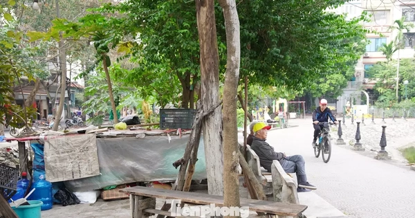 Công viên tại trung tâm Hà Nội bị hàng quán lấn chiếm, bãi cỏ thành nơi trồng rau