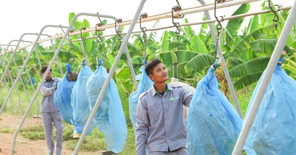 Siêu dự án 750 triệu đô của doanh nghiệp Việt phía sau "cuộc lột xác" của vùng đất Nam Lào