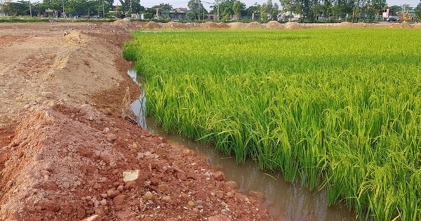 Người dân “lên thổ cư” cho đất lúa bị trả hồ sơ, Bộ NN&MT trả lời