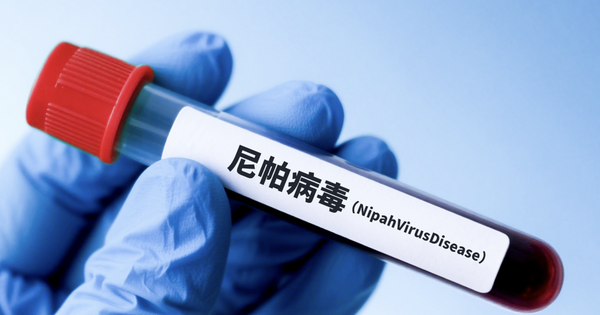 NÓNG: Các nhà khoa học Trung Quốc tìm ra thuốc kháng virus Nipah