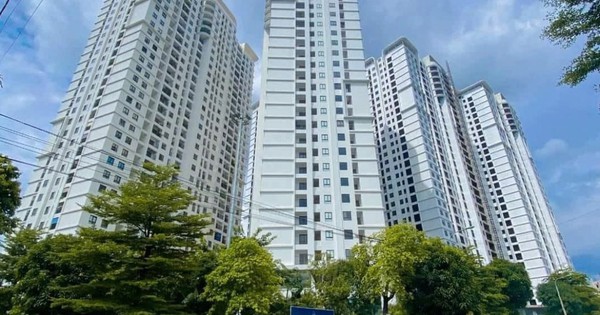 Chuyên gia dự đoán giá chung cư 2026