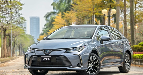 Khách Việt quay lưng với sedan: Phân khúc gầm thấp đối mặt kỷ nguyên suy thoái