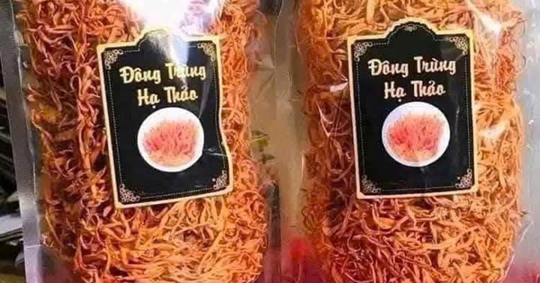 Đông trùng hạ thảo 350.000 đồng/kg: Giá rẻ bất thường, chất lượng khó kiểm soát
