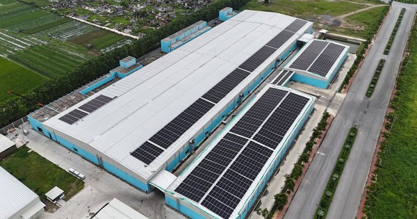 Damsan báo lãi gần 123 tỷ đồng năm 2025, tăng trưởng 89%