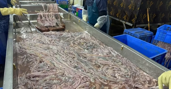 Hà Nội: Thu giữ hơn 60 tấn lòng lợn không rõ nguồn gốc tại kho đông lạnh