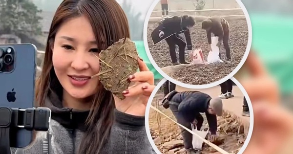 'Cơn cuồng hot girl mổ lợn Tết’ và biến tướng mua bán ‘đất may mắn’ ở Trung Quốc