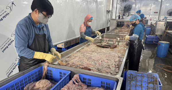 Hơn 60 tấn lòng heo hôi thối, chuyển màu nằm trong kho lạnh