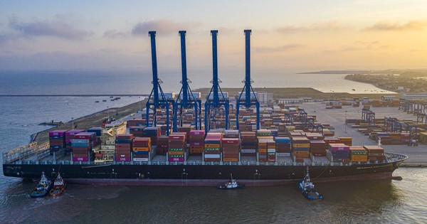 Viconship (VSC) báo lãi ròng 681 tỷ trong năm 2025, tăng 130% so với năm trước