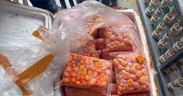 Hà Nội: Thu giữ hơn 12 tấn sụn gà, trứng non nghi nhập lậu