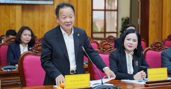 Tập đoàn T&T Group đề xuất nghiên cứu đầu tư nhiều dự án trọng điểm tại Lâm Đồng