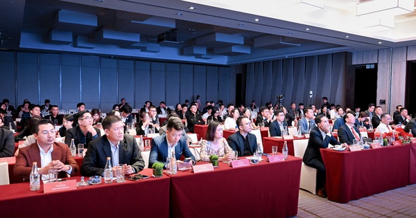 Giải mã đầu tư – đón vận hội mới 2026