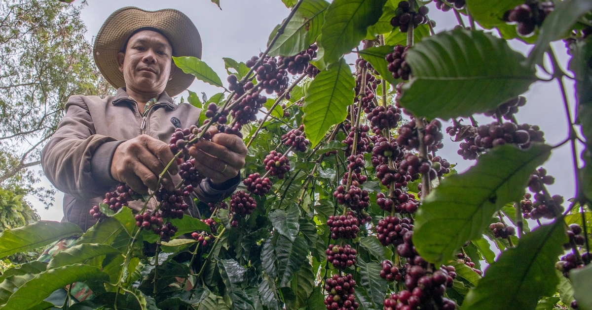 Đón tin vui đầu năm, nông sản phá kỷ lục 70 tỉ USD