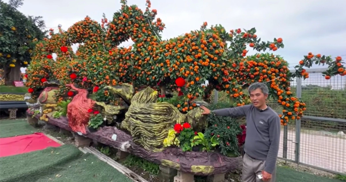 Săn kiểng độc, quả lạ chơi tết