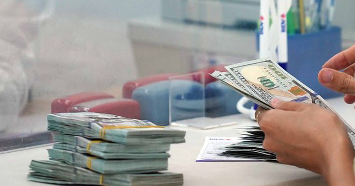 Giá USD hôm nay 11.1.2026: Đô tự do lao dốc trong tuần