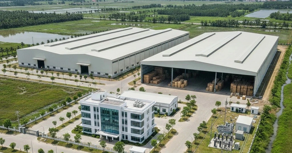 Cà Mau chấp thuận dự án nhà máy ván ghép thanh, viên nén gỗ 132 tỉ đồng