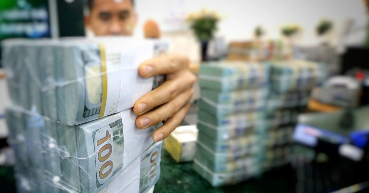 Giá USD hôm nay 17.1.2026: Đô la tự do giảm mạnh