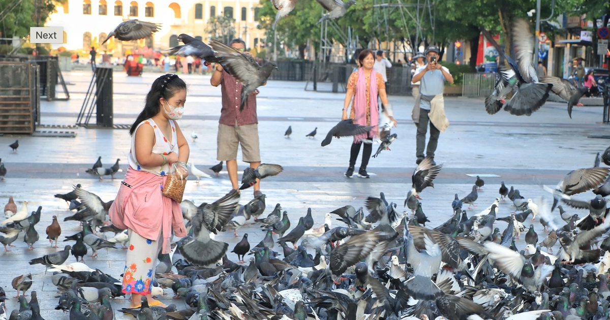 Thời tiết TP.HCM se lạnh, Đà Lạt còn 9 độ C kéo dài đến khi nào?