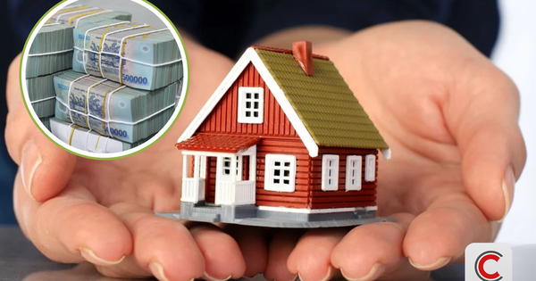 Cá nhân cho thuê bất động sản nộp thuế như thế nào? Cơ quan Thuế trả lời