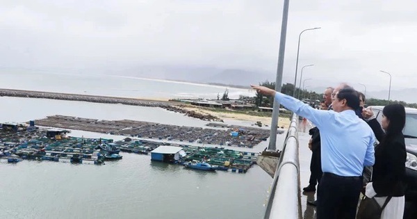 Vingroup trúng thầu siêu dự án điện gió hơn 48.300 tỉ đồng tại Gia Lai