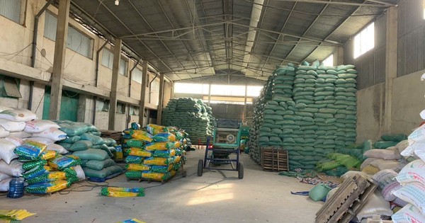 Phát hiện đối tượng sản xuất hơn 200 tấn lúa giống giả ST24, ST25