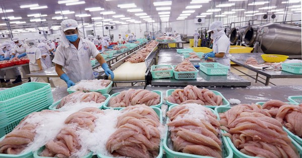 Ngành kinh tế tỷ đô của Việt Nam khởi sắc, Trung Quốc đóng vai trò then chốt