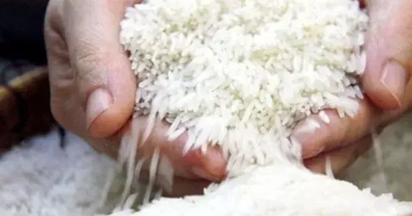 Giá gạo Ấn Độ chạm đỉnh gần một tháng