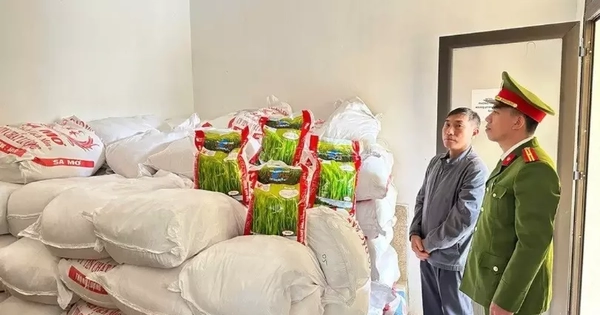 Triệt phá đường dây bán gạo giả nhãn hiệu 'Thơm Lài Sữa'