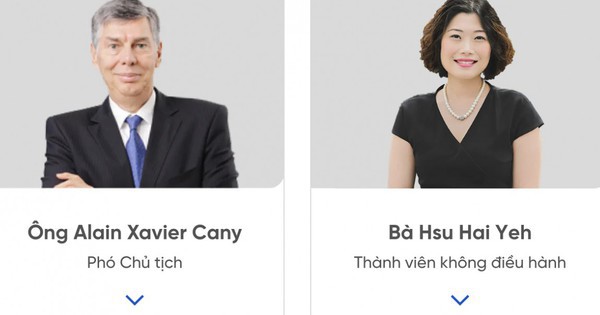 Hai đại diện của Platinum Victory Pte. Ltd rút khỏi HĐQT REE