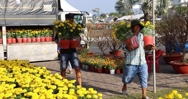 Hoa Tết giá mềm, hút khách