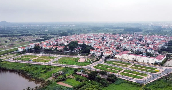 Nâng tiền đặt cọc lên 50%, đất đấu giá diễn biến ra sao?