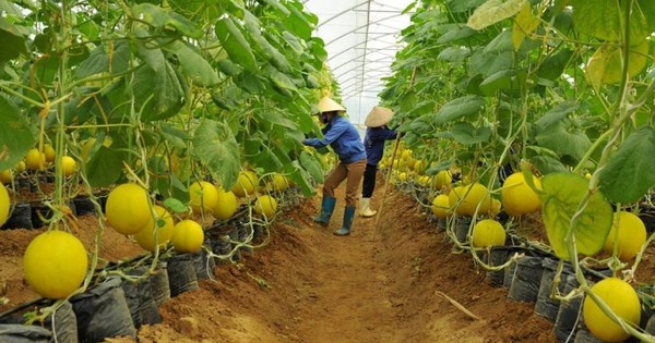 Khởi động hành trình 'người trẻ kể chuyện văn hoá Việt Nam'