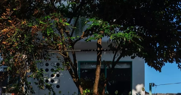 Gia chủ thư thái trong ngôi nhà màu xanh dịu mát