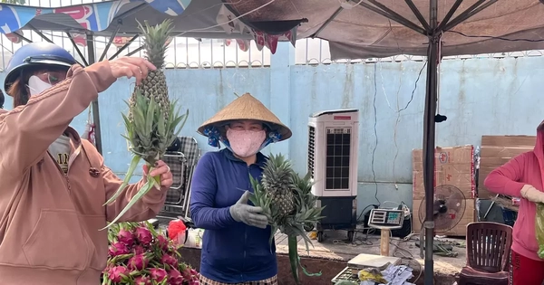 Sát Tết, trái cây "đội giá" vẫn bán chạy như tôm tươi