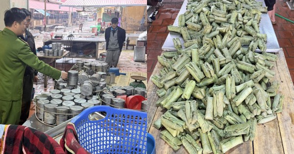 750 cây giò, 720 túi xúc xích chứa chất cấm: Khởi tố mẹ con chủ cơ sở tại chợ đầu mối Đông Tảo