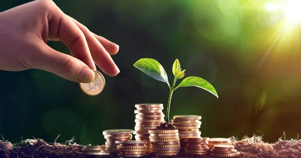 Điểm danh loạt doanh nghiệp chia cổ tức bằng tiền mặt ‘khủng’ trong năm 2025