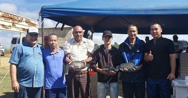 Một loài cá của Việt Nam từng tạo "kỳ tích" ở Cuba, được Mỹ tăng mua 499%