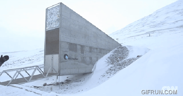 "Hầm tận thế" mở cửa: Việt Nam đã gửi gì?