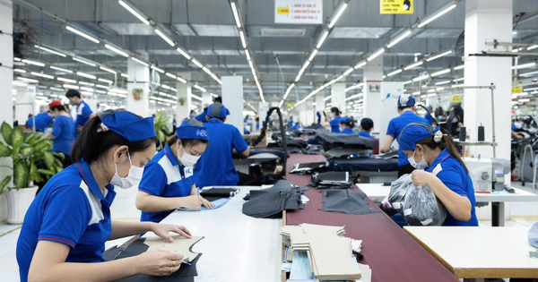 Nhìn lại một năm thăng trầm thị trường việc làm