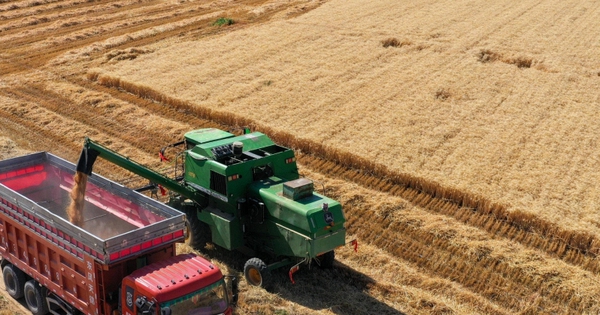 "Mỏ vàng" giữa lòng sa mạc: Quốc gia cạnh Việt Nam biến "biển tử thần" thành kho báu cho hơn 1,4 tỷ người