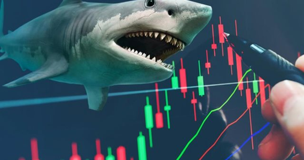 Khối quỹ ngoại cơ cấu danh mục ra sao trước kỳ nghỉ Tết?