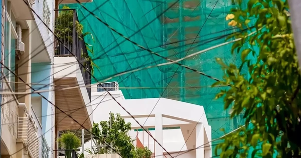 Lấy sáng cho nhà ống bằng thiết kế mặt tiền thú vị