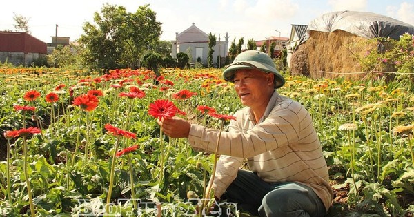 Anh nông dân lãi 1,2 tỷ đồng từ loài hoa hễ hé nụ là có người tới "cướp"