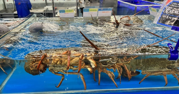 Việt Nam vừa đón một tin cực vui từ Trung Quốc