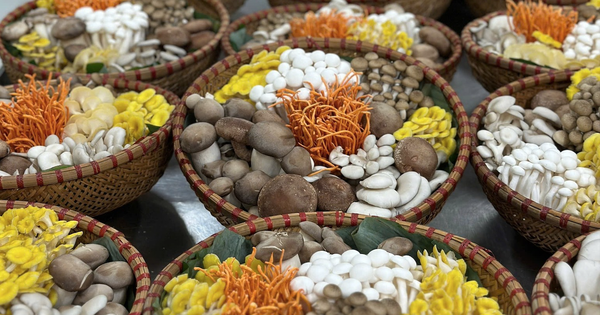 Không chỉ có 'Đệ nhất danh trà', Thái Nguyên còn có 'sản vật thơm' đang chinh phục cả Mỹ và Nhật