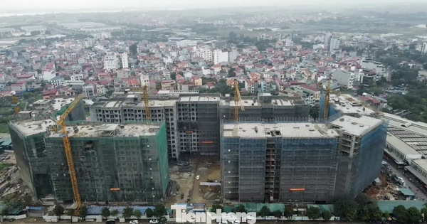 Người mua nhà ở xã hội có được nộp hồ sơ nhiều dự án?