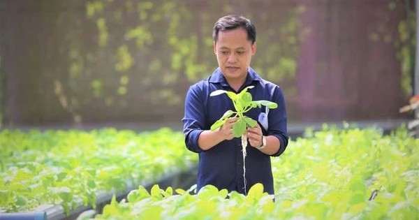 Anh kỹ sư lập trình bỏ phố về quê, xây 'resort 5 sao' cho rau, thu hút 10.000 người đến