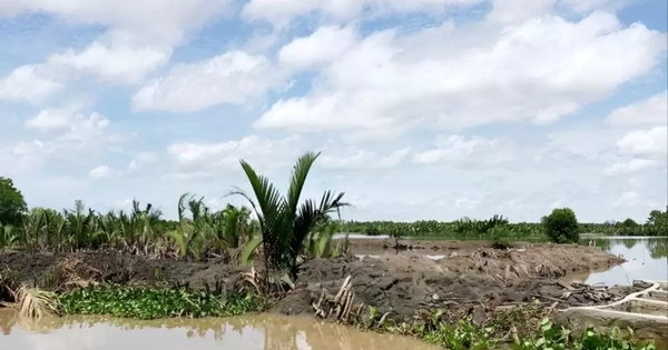 Danh tính hai người đàn ông chiếm gần 29 ha đất công