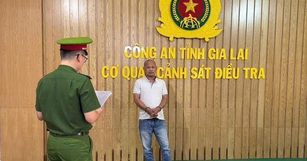 Gia Lai: Bắt giữ đối tượng lừa đảo 5,6 tỉ đồng bằng chiêu “đáo hạn ngân hàng”