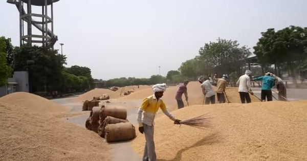 Đối thủ gạo lớn nhất của Việt Nam đón cú sốc đầu năm